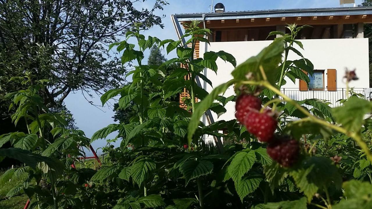 Garni Fobbie Hotel Brentonico Bagian luar foto